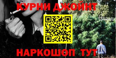сатива Будённовск