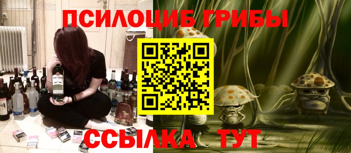 Галлюциногенные грибы Psilocybine cubensis Маркс